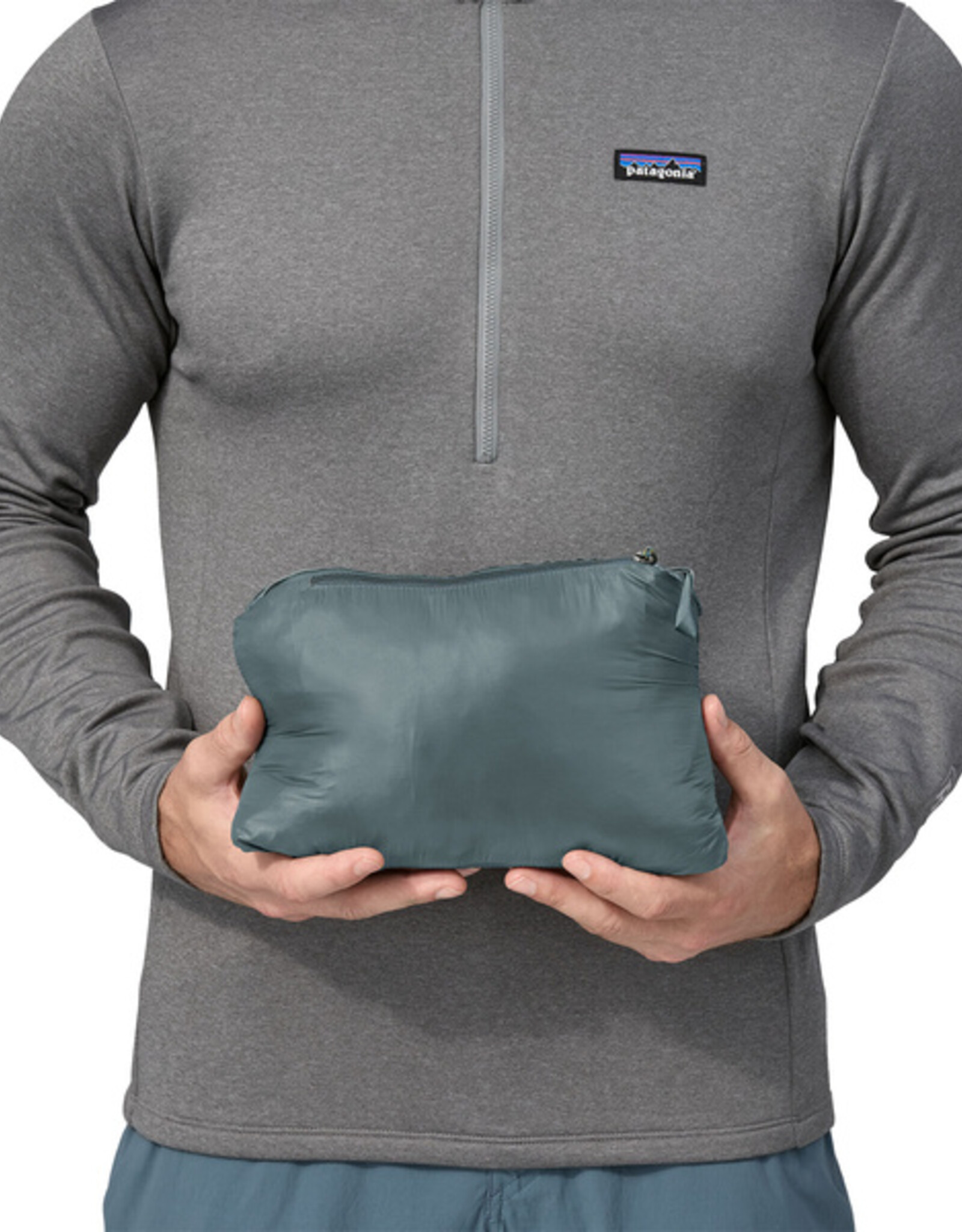 patagonia Micro Puff hoody