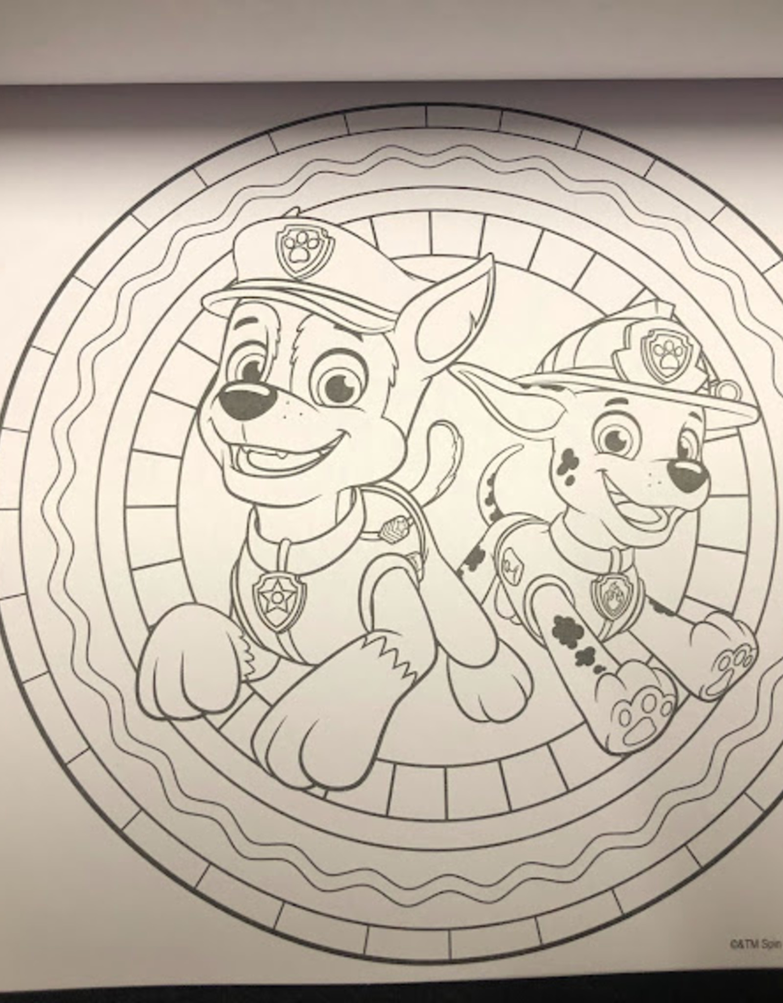 Paw Patrol mandala kleurboek