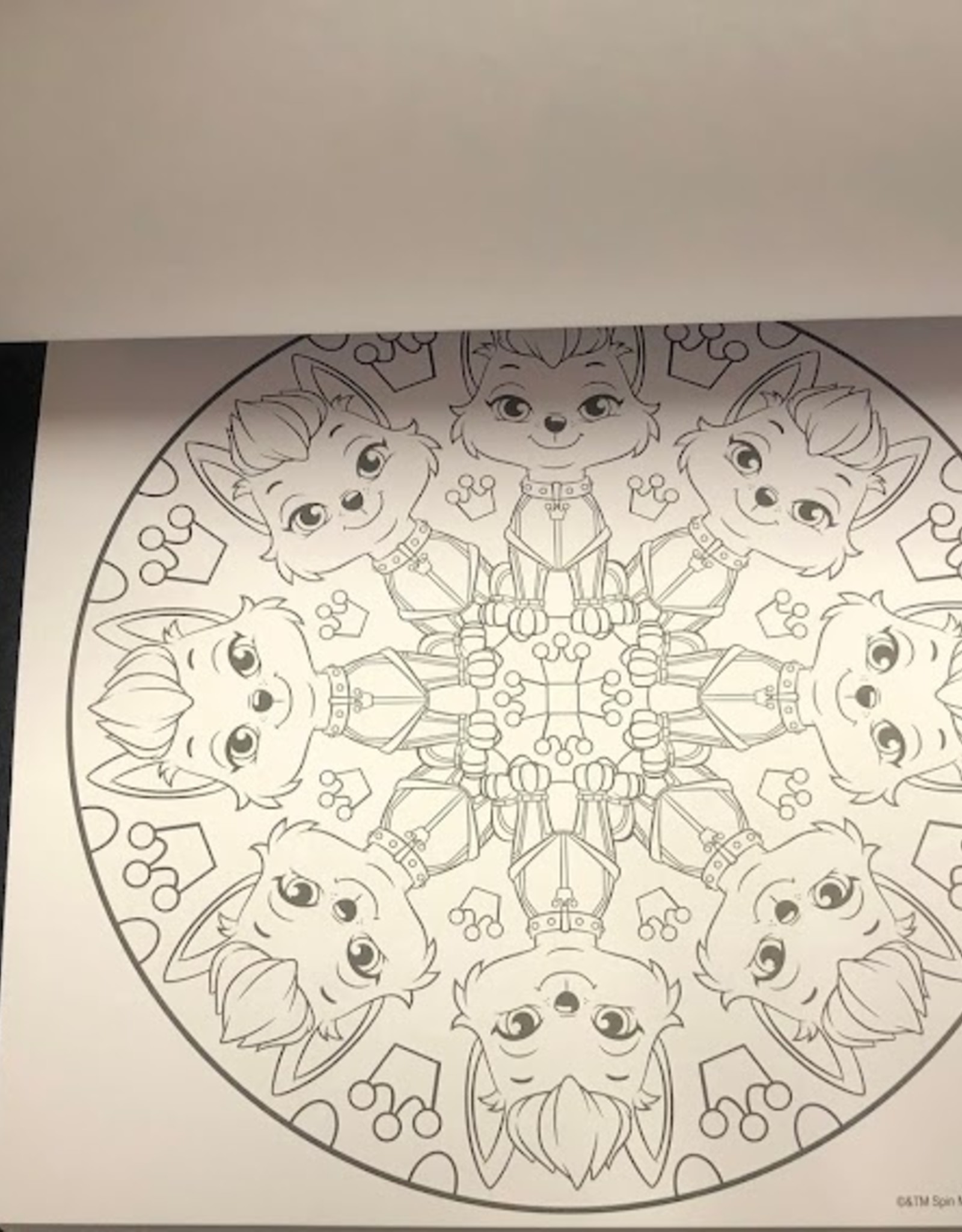 Paw Patrol mandala kleurboek