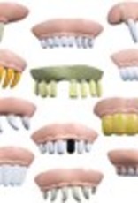 Funny teeth (Dwayne) in 50 mm capsule