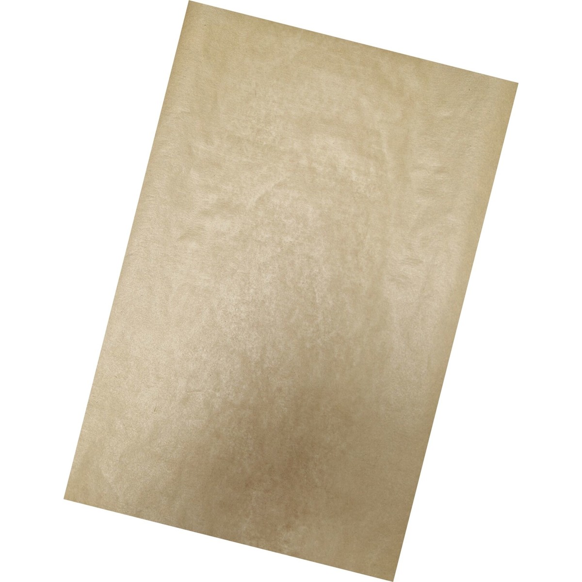 Backtrennpapier, 1000er Pack für GN 1/1 Blech