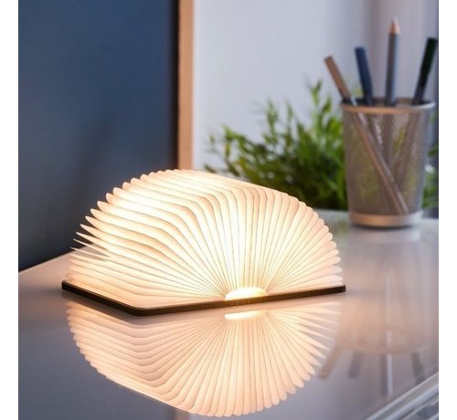 Gingko Gingko Smart book light