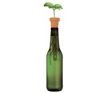 Kikkerland Bottle herb planters