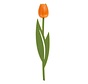 Boekenlegger Tulp