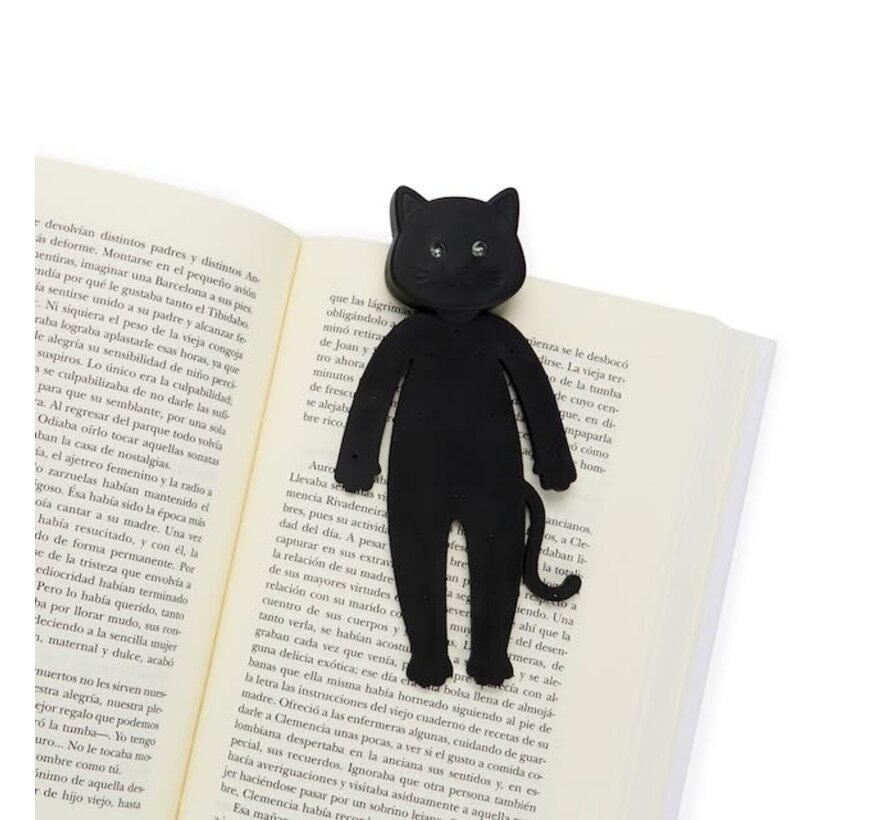 Boekenlampje kat