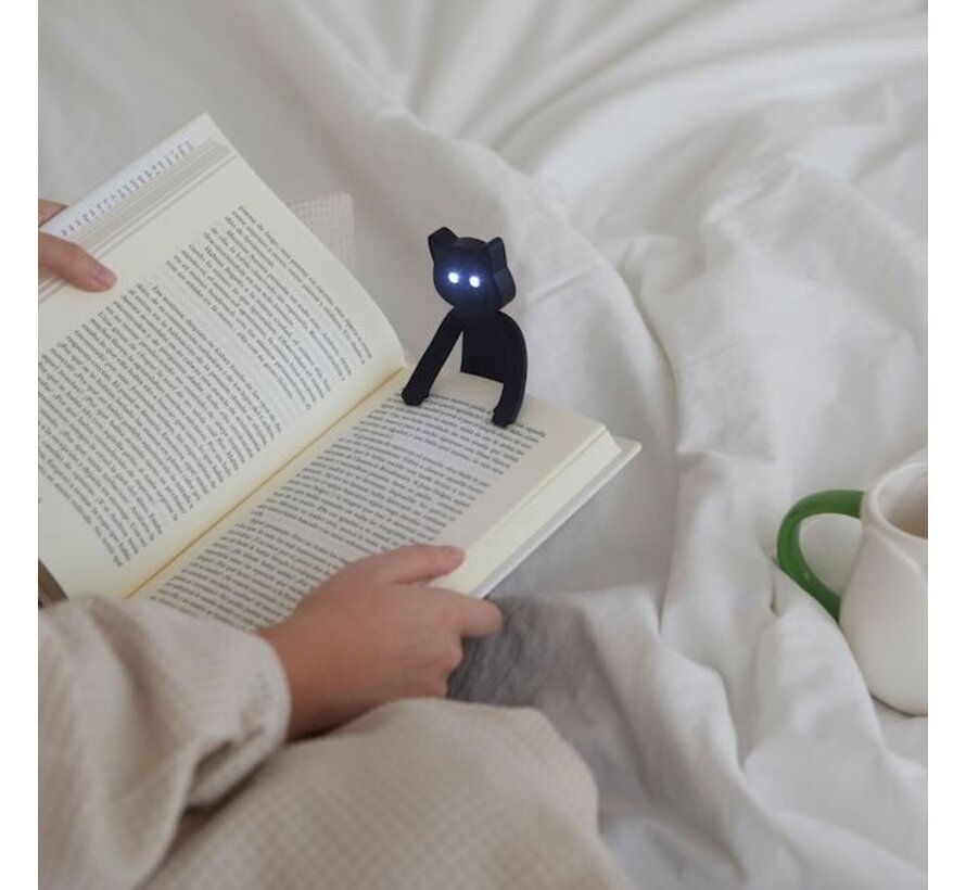Boekenlampje kat
