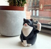 Kikkerland Solar Cat