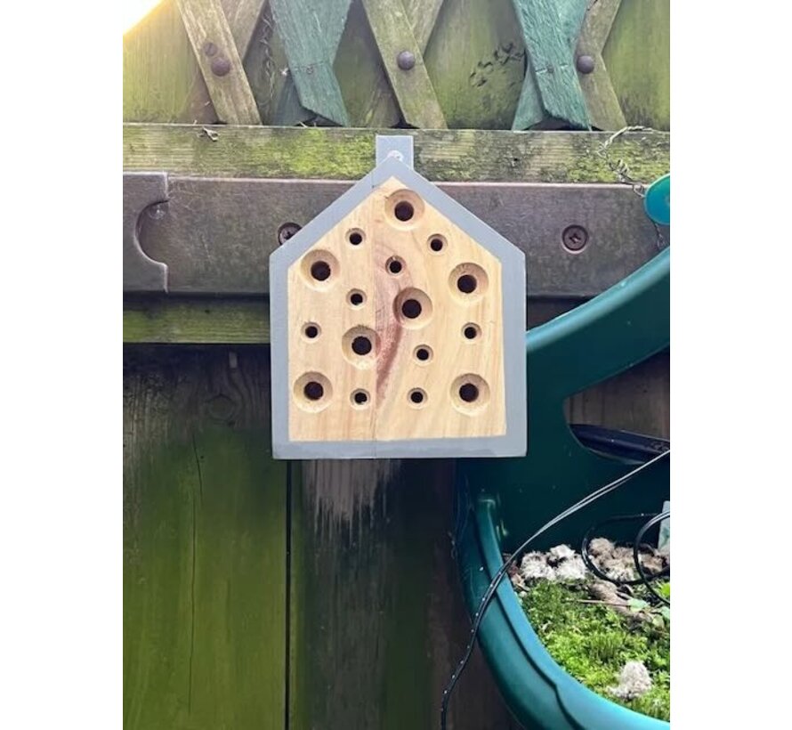 Little Bee Home