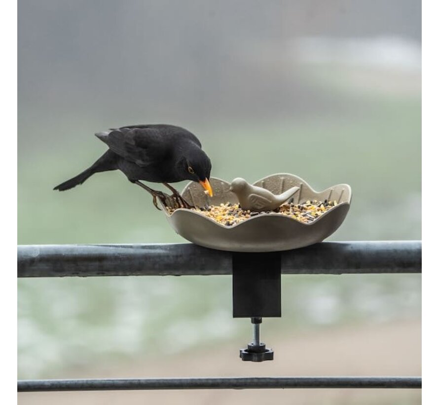 Voederschaal Balkon