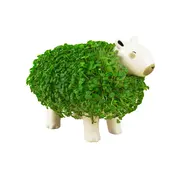 Capybara Bloempot met groene vacht