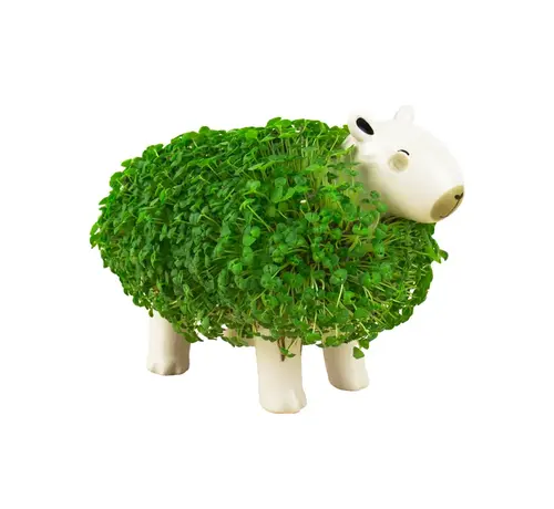 Capybara Plantenpot met groene vacht