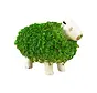 Capybara Plantenpot met groene vacht