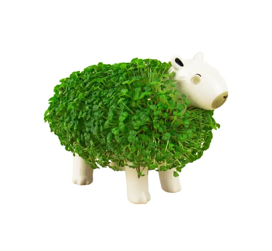 Capybara Plantenpot met groene vacht