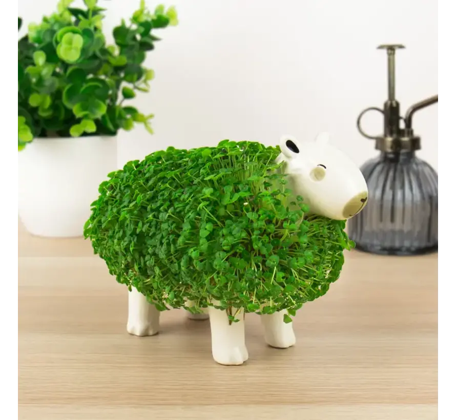 Capybara Plantenpot met groene vacht