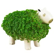 Capybara Bloempot met groene vacht