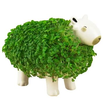 Capybara Bloempot met groene vacht