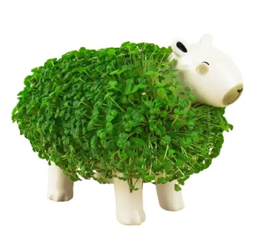 Capybara Plantenpot met groene vacht