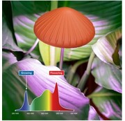 Kikkerland Groeilamp voor je planten