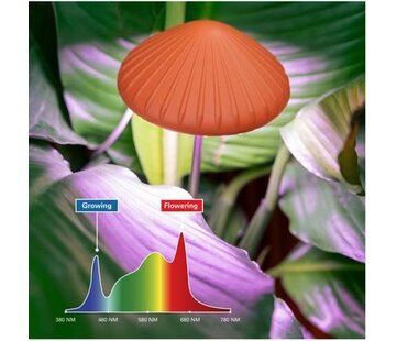 Kikkerland Groeilamp voor je planten