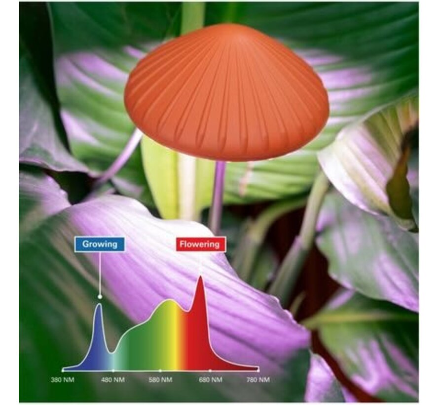 Groeilamp voor je planten