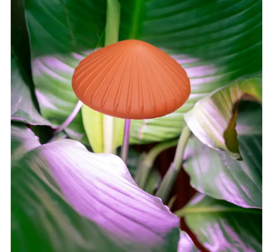 Groeilamp voor je planten