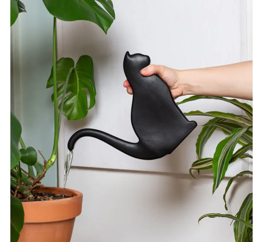 Cat gieter