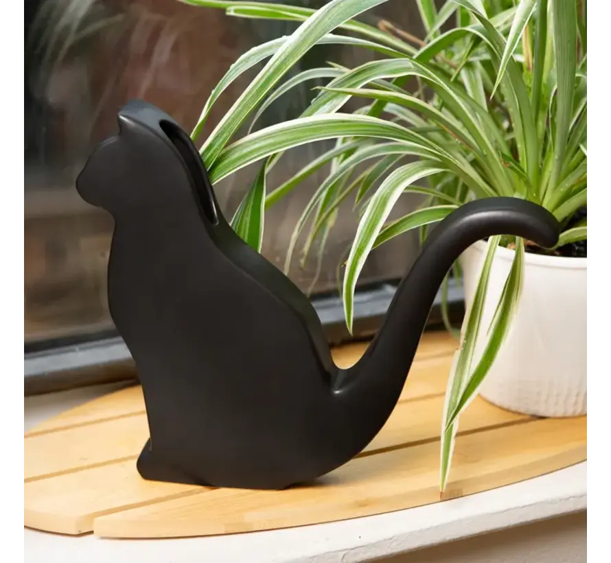 Cat gieter