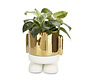 Bloempot op Poten Goud – Balvi Mr. Standy Gold Edition