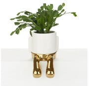 Balvi Gouden Bloempot met Hangende Poten