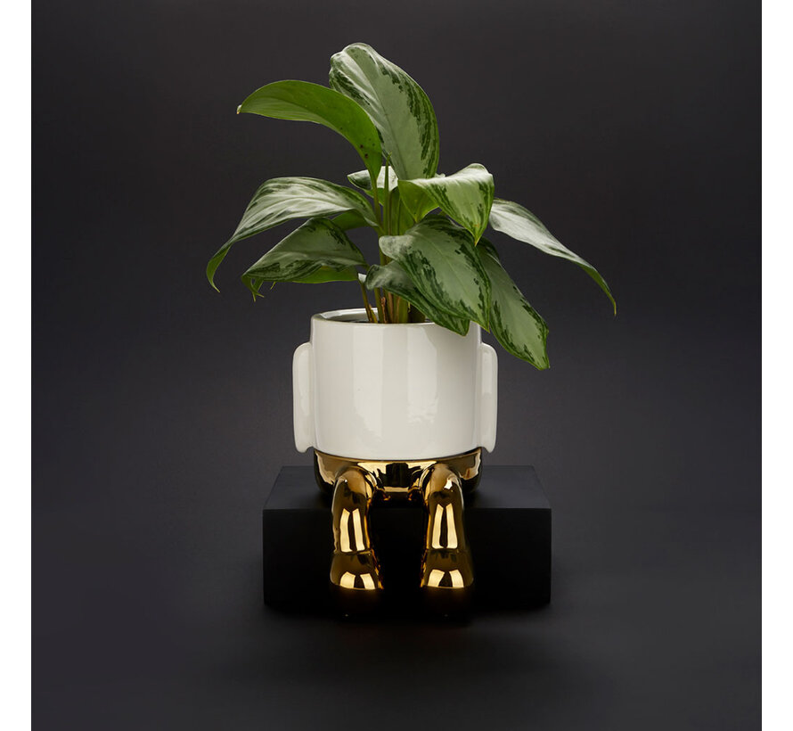 Gouden Bloempot met Hangende Poten – Balvi Mr. Dangly Gold Edition