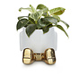 Bloempot Zittend Mannetje Goud – Balvi Mr. Sitty Gold Edition