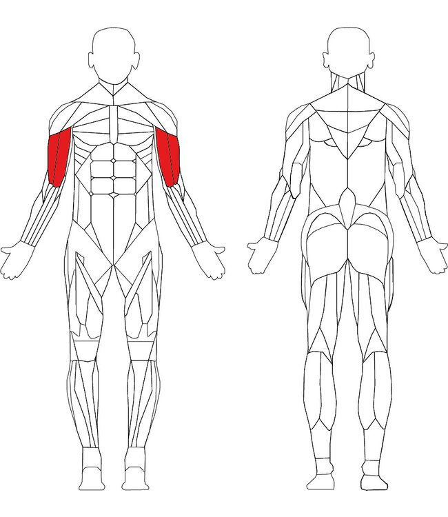 TechnoGym Element+ arm curl