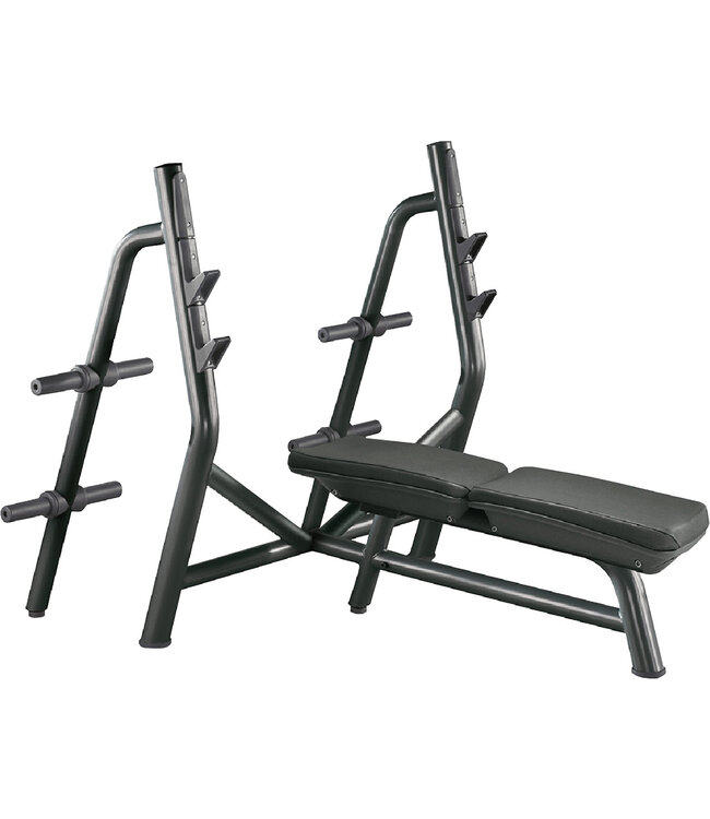 TechnoGym horizontal bench