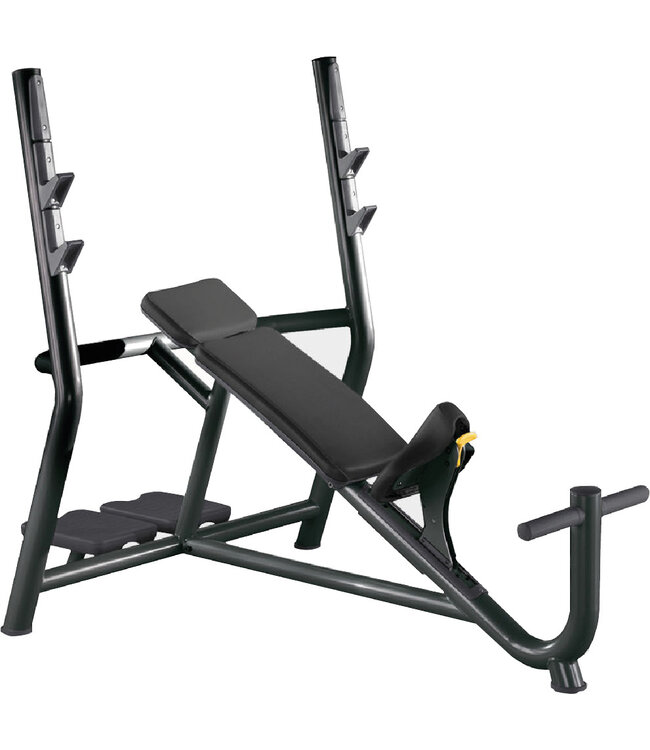 TechnoGym inclined bench