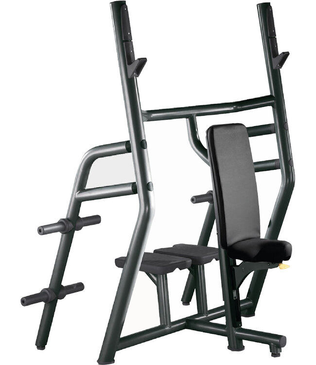 TechnoGym vertical bench