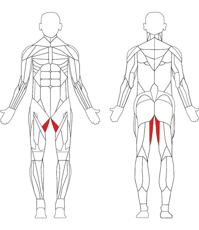 TechnoGym Element+ adductor