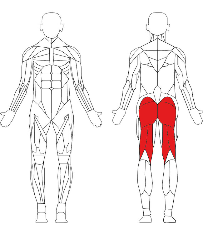 Matrix Ultra series G7 prone leg curl