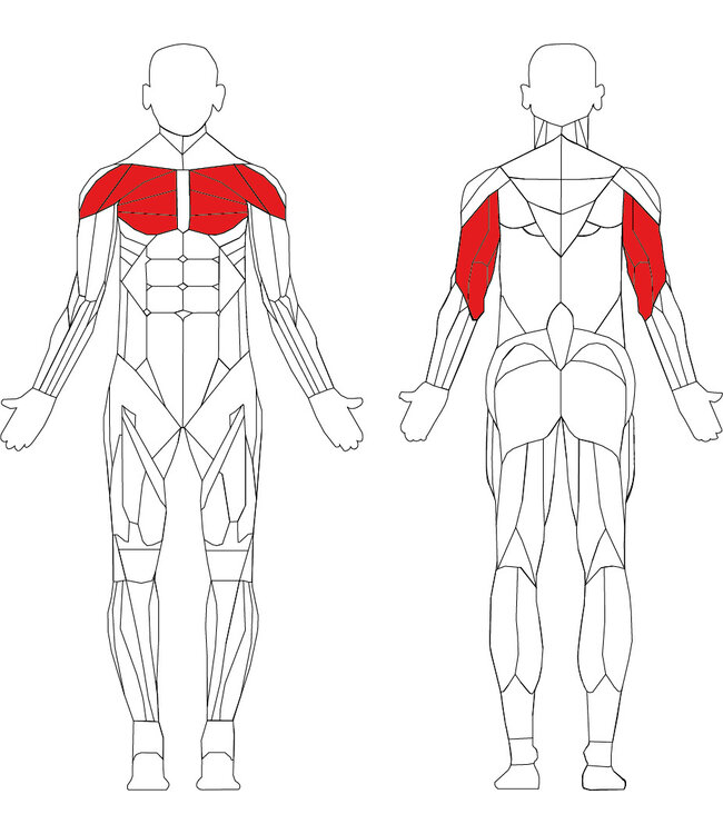 TechnoGym Element+ chest press