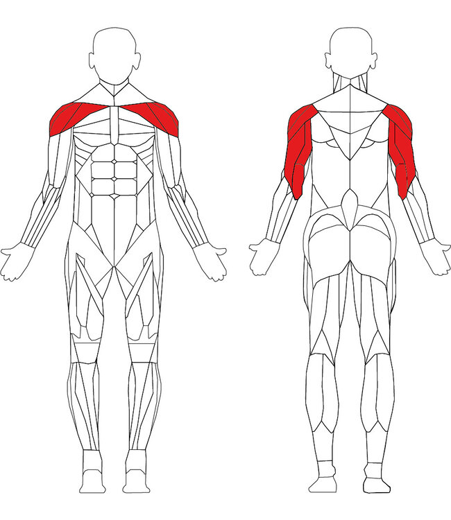 TechnoGym Element+ shoulder press