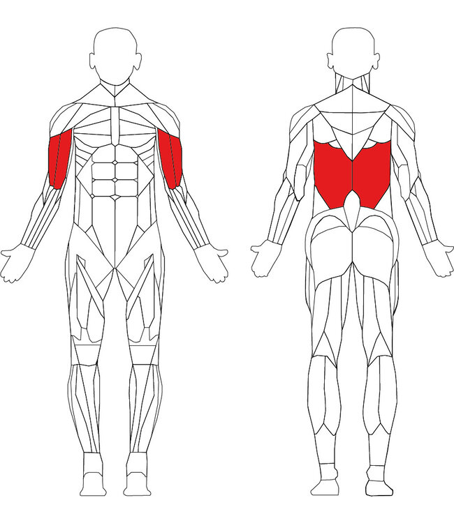 TechnoGym Element+ vertical traction