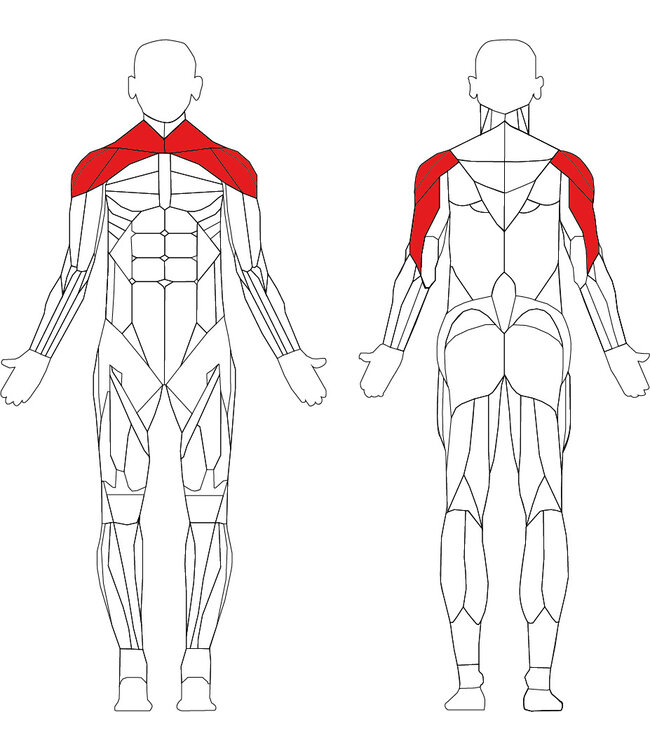 Matrix Aura series G3 lateral raise