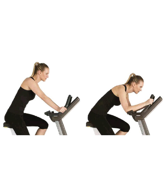 TechnoGym Bike Artis Unity