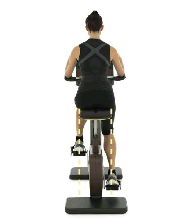 TechnoGym Bike Artis Unity