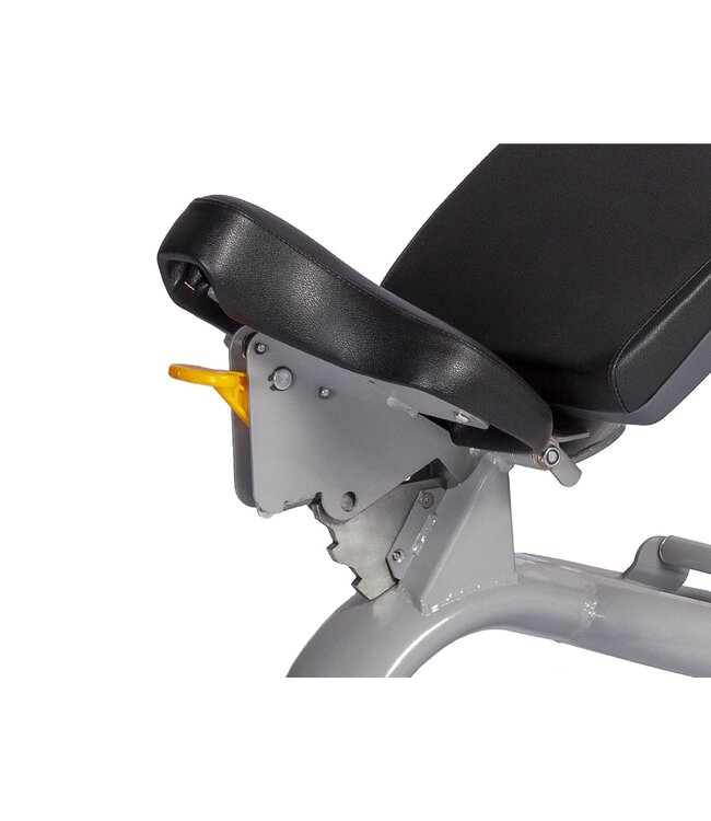 Athletic Performance Adjustable Bench Blue Line