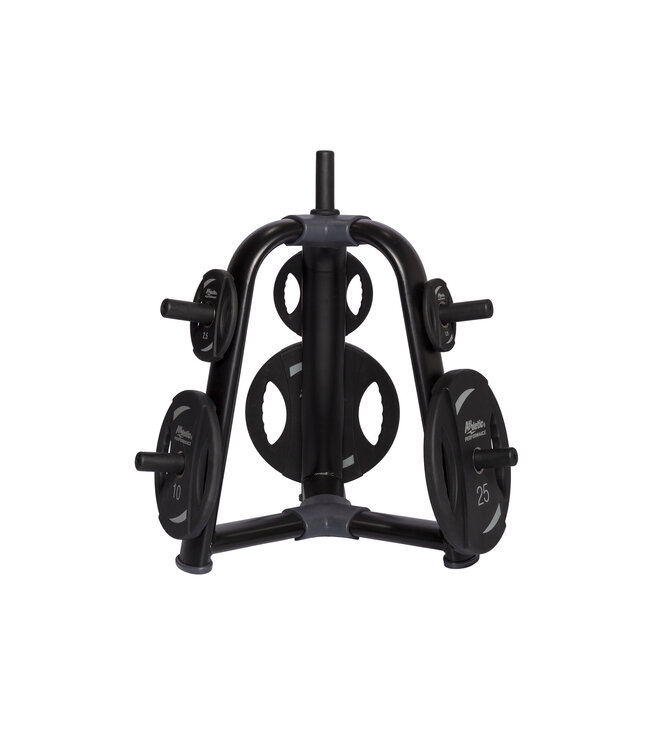 Athletic Performance blue line weight plate tree