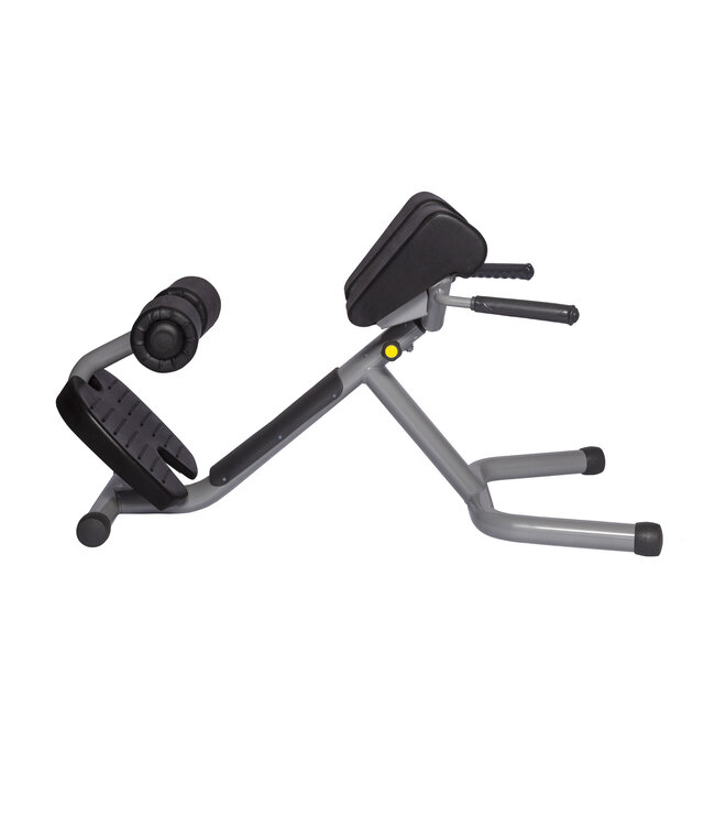 Athletic Performance lower back bench blue line