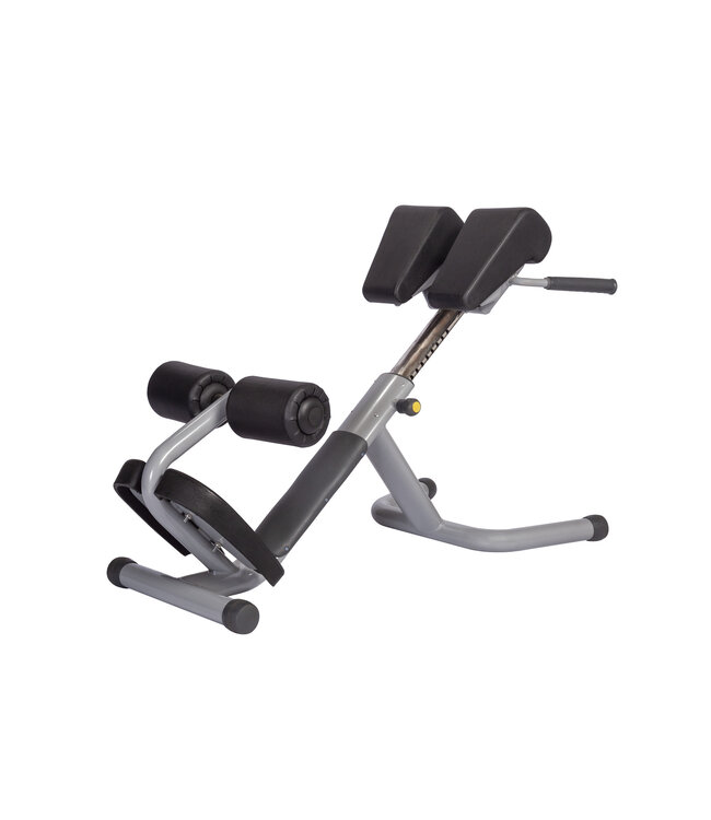 Athletic Performance lower back bench blue line