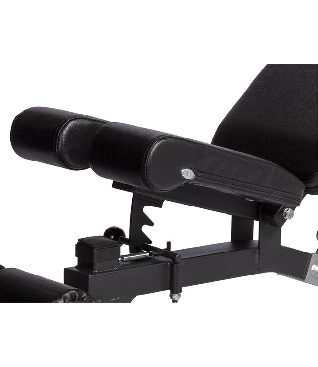 Athletic Performance H1 adjustable / crunch bench