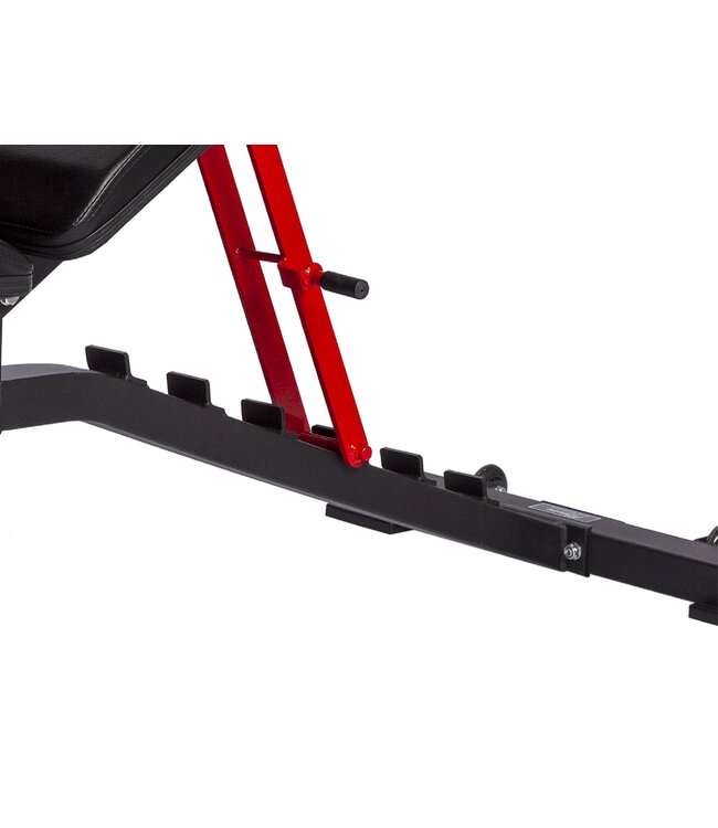 Athletic Performance H2 Adjustable bench