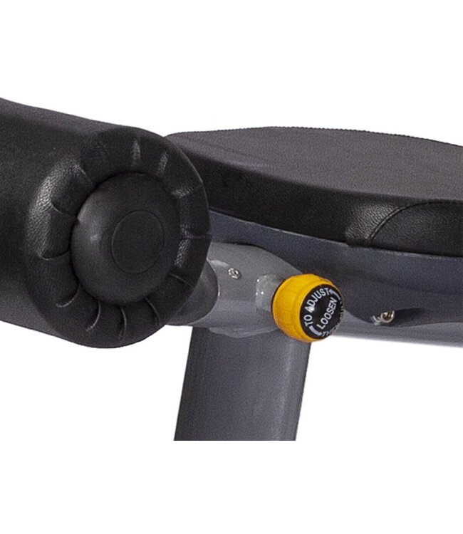 Athletic Performance Olympic Decline Bench Blue Line